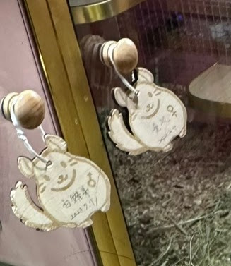 tags to help identify chinchillas at the chinchilla cafe in taipei